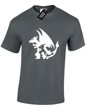 Load image into Gallery viewer, Charmender to Charizard T-shirt